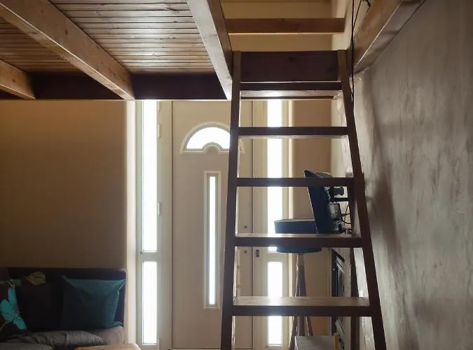 דירה Olga's Cozy