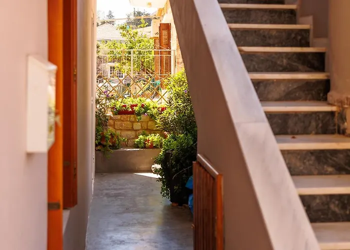 Olga's Cozy 아파트 *